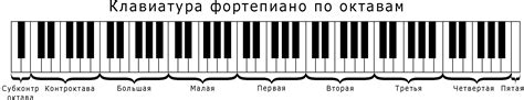 Сколько клавиш у пианино | Все о фортепиано