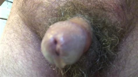 Cock Suckers Point Of View Gay Porn Xhamster