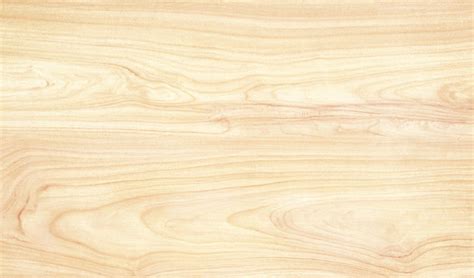 Birch Plank Texture