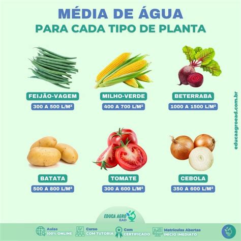 A Importância Da Água Para As Plantas - A importância da Água para as Plantas — Educa Agro EAD
