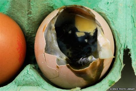 Sulphur surplus: Up to our necks in a diabolical element - BBC News