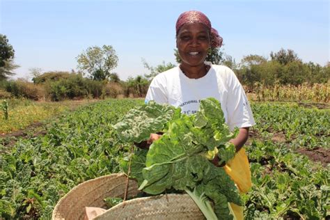 Germany Namibia Collaborates To Empower Women In Agriculture The