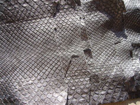 Gray Snakeskin With Scales Genuine Leather For Clothes Bags Gray