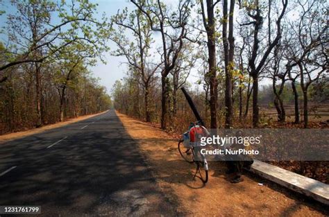 36 Mayurbhanj District Stock Photos High Res Pictures And Images
