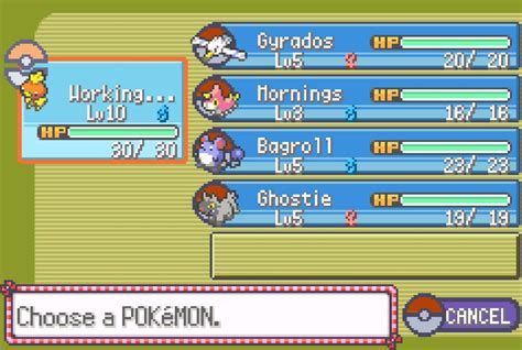 First Hardcore Nuzlocke In Pokemon Emerald Rules Are Just Like Any Hardcore Nuzlocke With No