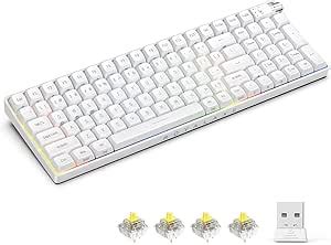 Amazon Royalaxe R Wireless Mechanical Keyboard Hot Swappable Wired G Wireless