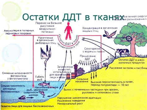 Презентация "Что изучает экология человека" (8 класс) по биологии ...
