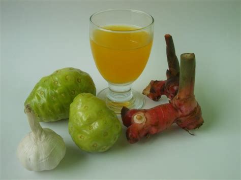 jamu traditional indonesian herbal medicine indoindianscom