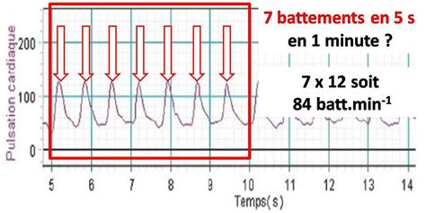 Nde Exercice Calculer Une Fr Quence Cardiaque Profsvt Oehmichen