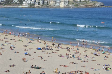 Nude Sunbathers Rescued After Deer Scare