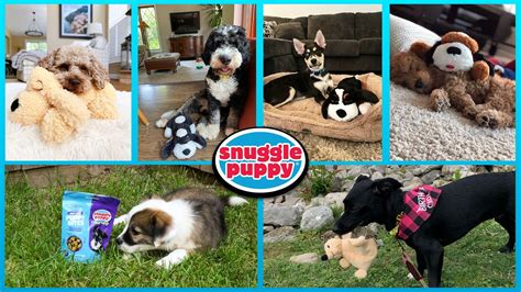 Original Snuggle Puppy (originalsnugglepuppy) | Official Pinterest account