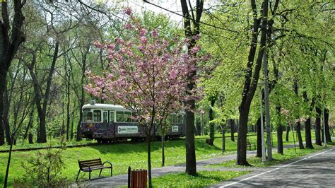 home discover braila