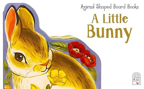 A Little Bunny : Wren, Rosalee, Cottage Door Press, Kirwan, Wednesday