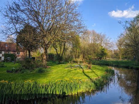 Kings Worthy walk#2 - wetland, footbridge, mud - walkWINCHESTER