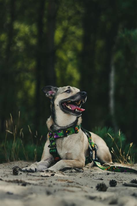 Sony a6600 + Sigma 56mm f1.4 - happy dodge : r/SonyAlpha