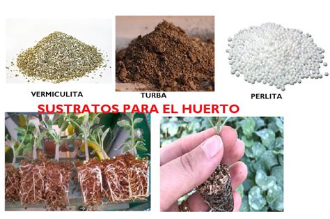 Sustratos Para Tus Plantas Y Huertas Tipos Manual Gratis