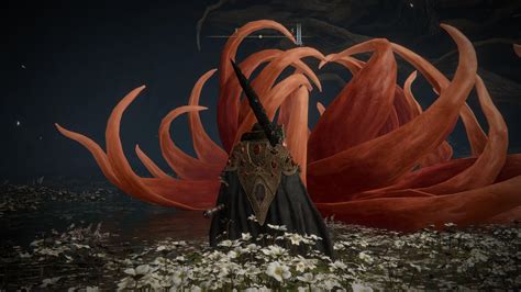 Malenia scarlet bloom appearing post fight : r/Eldenring