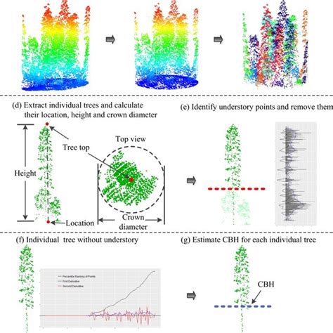 Pdf A Simple Method For Direct Crown Base Height Estimation Of