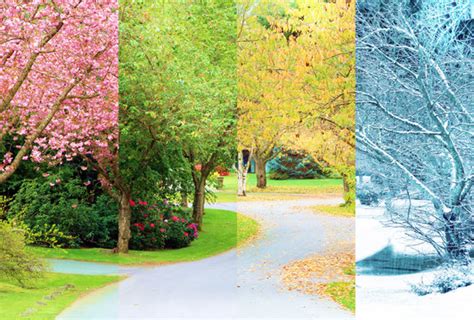 「四季」の写真素材 4331663件の無料イラスト画像 Adobe Stock