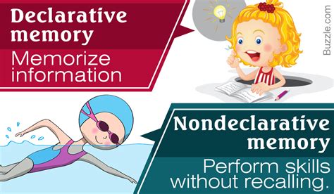 Declarative Memory Chart