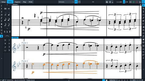 STEINBERG スタインバーグ 楽譜作成ソフト DORICO Elements 通常版 譜面作成ソフトウェア 内祝い