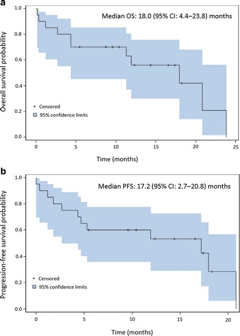 Efficacy Of Osimertinib In Egfr Mutated Non Small Cell Lung Cancer With