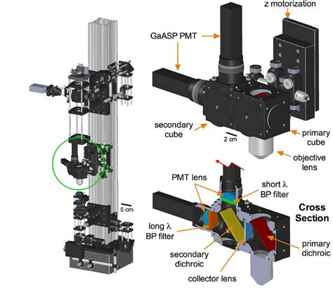 A Canadian Open Source Two Photon Microscope System Laptrinhx