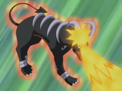 Harrison S Houndoom Bulbapedia The Community Driven Pok Mon Encyclopedia