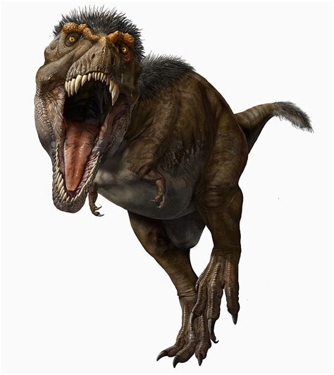 t-rex had feathers!? and other surprising facts about the popular predator