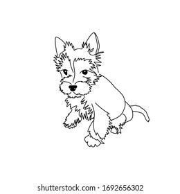 Vector Drawing Yorkshire Terrier Puppy Hand Stock Vector Royalty Free