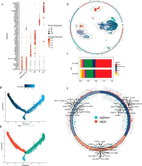 Analysis of monocyte differentiation trajectories. A Expression of ...