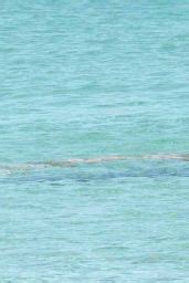 Melissa Satta Bikini Candids Porto Cervo Italy CelebMafia