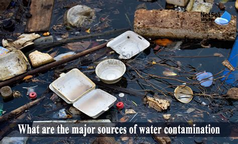 major sources  water contamination top