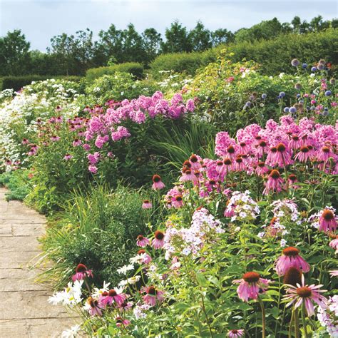 How to attract ladybirds to your garden: a natural predator | Ideal Home