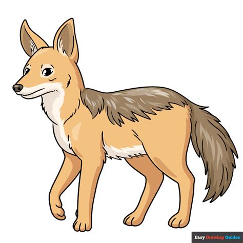 How To Draw A Jackal Really Easy Drawing Tutorial