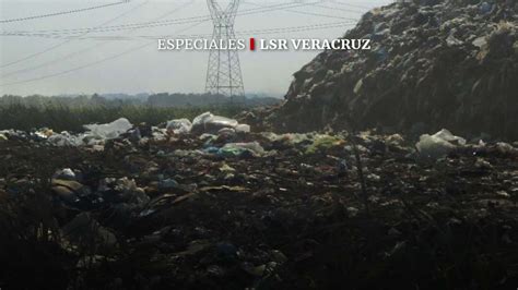 Leyes Ambientales En Veracruz Ineficientes Y Antiguas Ecologistas La Silla Rota