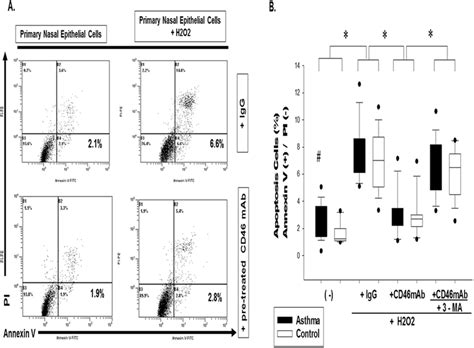 Cd46 Induced Autophagy Against H2o2 Induced Airway Epithelial Cell