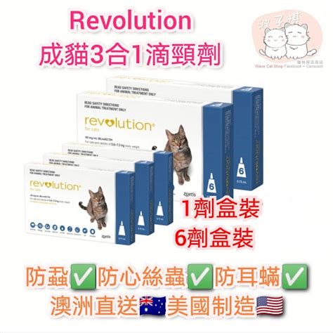 revolution  cats