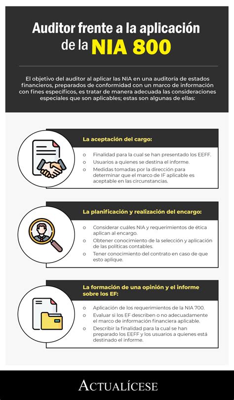 Infografía Auditor Frente A La Aplicación De La Nia 800