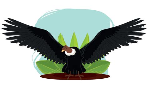 isolated colored cute condor animal vector  vector art  vecteezy