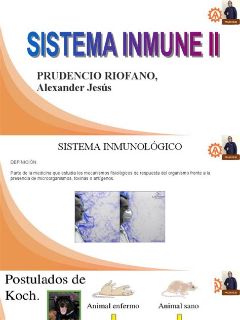 Sistema Inmune Ii Pdf Virus Infección