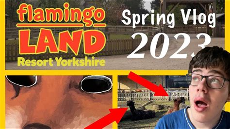 Flamingo Land Vlog Spring 2023 YouTube