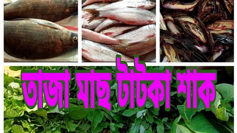 তর তাজা মাছ আর টাটকা শাক রান্না করে নিলাম Youtube