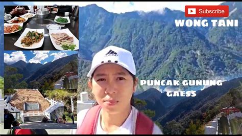 KE PUNCAK DIAJAK MAJIKAN JALAN JALAN KE PUNCAK GUNUNG TAITUNG PART 1