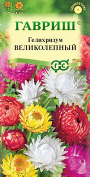 ЦВЕТЫ СУХОЦВЕТЫ