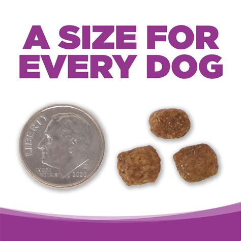Large Breed Puppy | Healthy Puppy Food | NutriSource Pet Foods