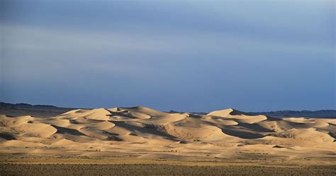 WILDLIFE OF MONGOLIA