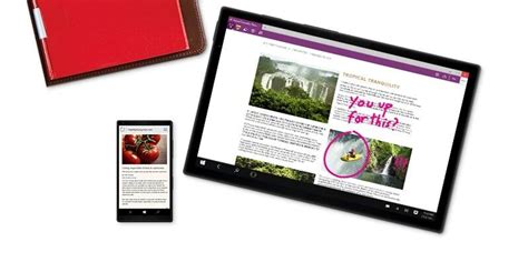 Купить программное обеспечение Windows 10 Professional OEM недорого