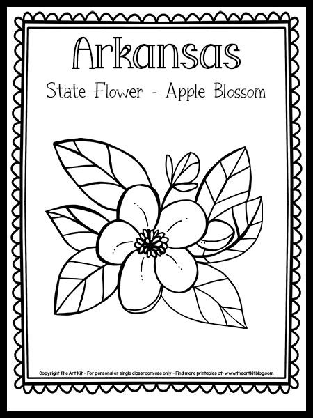 Arkansas State Flower Coloring Page Apple Blossom {free Printable } The Art Kit