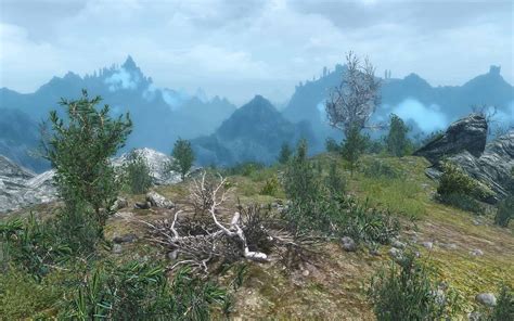 Skyrim Flora Overhaul | Skyrim Mod Download